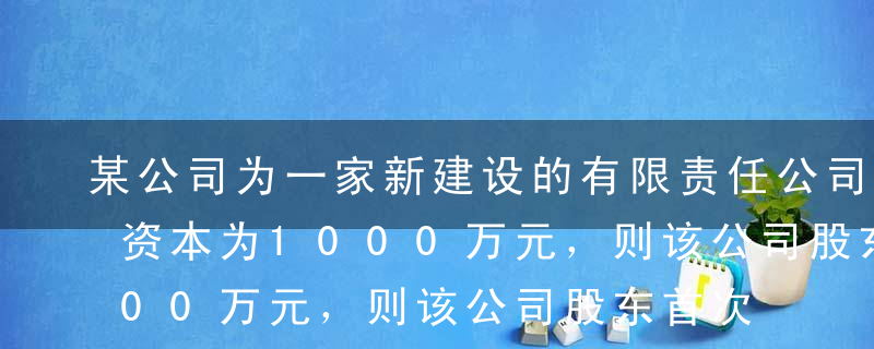 某公司为一家新建设的有限责任公司，其注册资本为1000万元，则该公司股东首次出资的最低金额是（